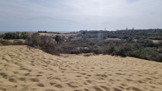 2023-GC--Mapalomas dunas-S123-197.jpg